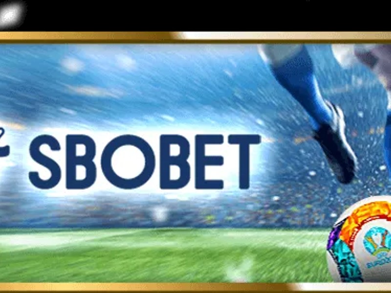 Cá cược bóng chuyền ku11bet với pha bóng trên lưới